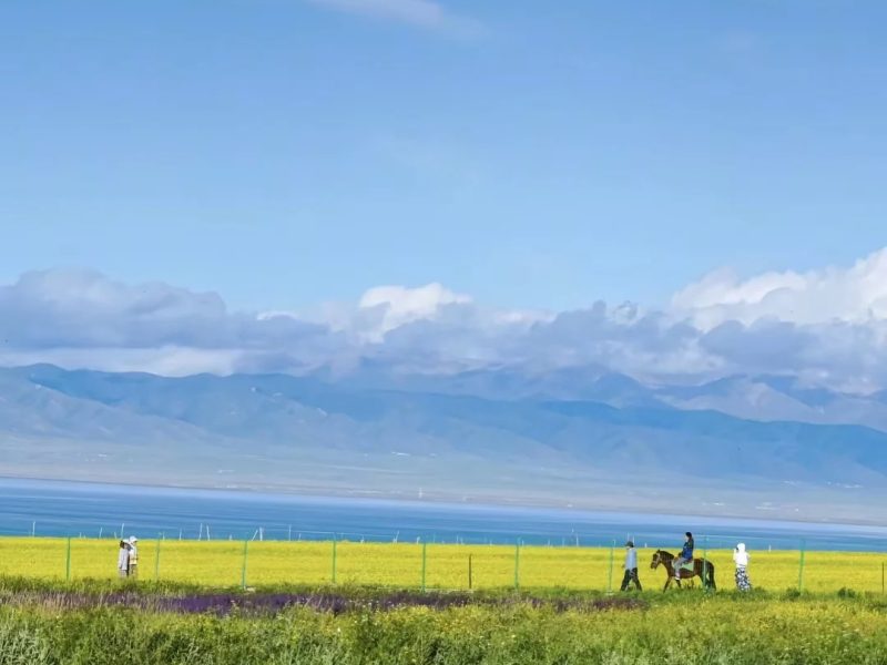 7月至8月是青海湖宫崎骏的夏天